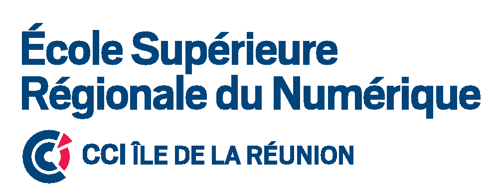Ecole Supérieure Régionale du Numérique
